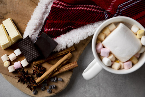 Inauguration des festivités de noël