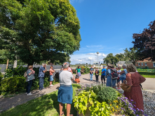 Visite guidée de l'été